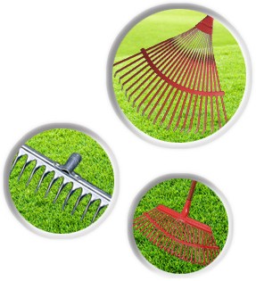 Leaf Rake Product